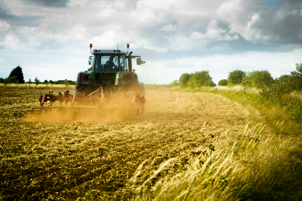 Programul FCA: 81 de Afaceri Agricole Finanțate în Primele Patru Luni