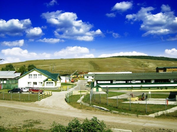 Cum funcționează finanțarea agriculturii europene: Ghid pentru fermieri