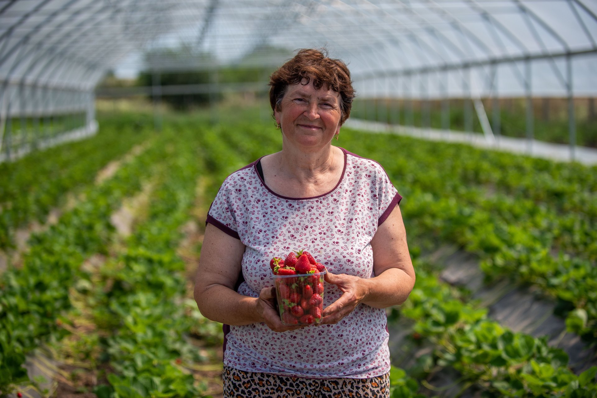 Granturi de până la 20.000 USD pentru femeile antreprenoare din agricultura Moldovei