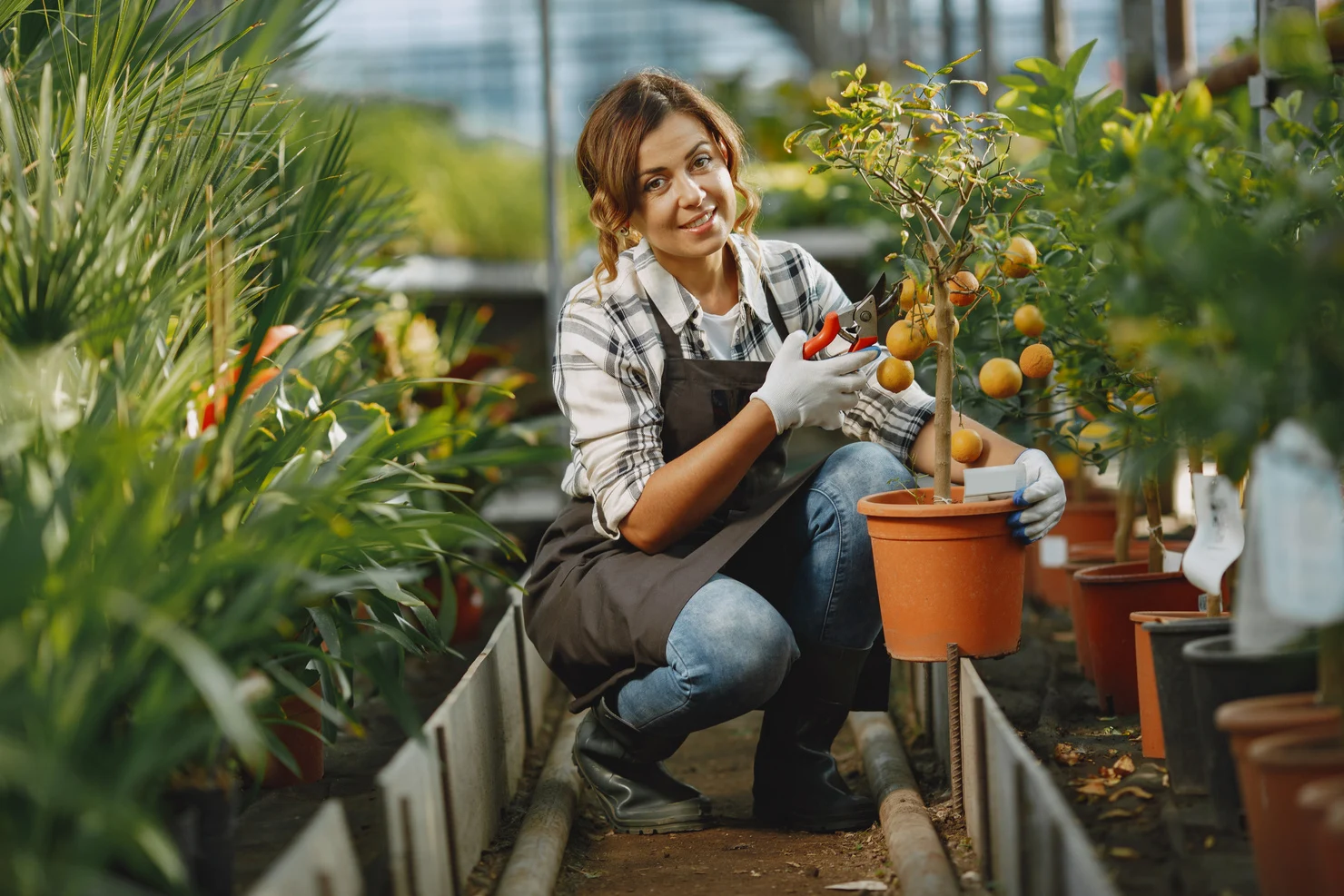Granturi de până la 6.000 USD pentru activități economice în gospodării casnice