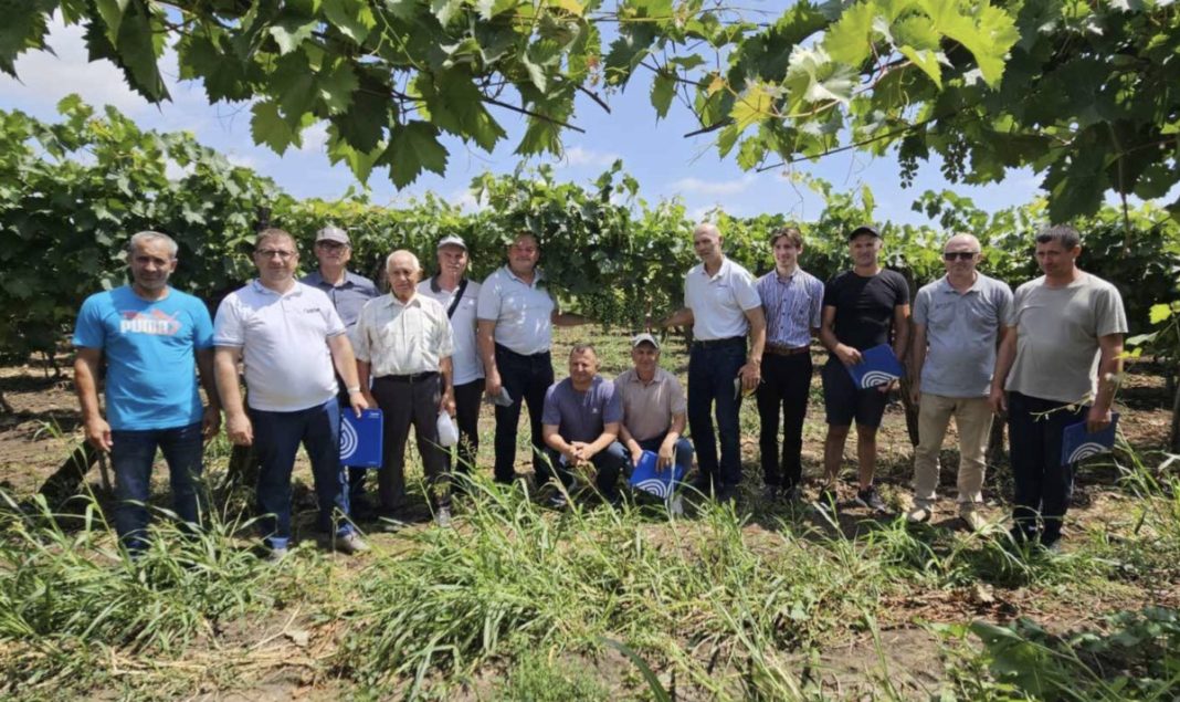Sistem modern de irigare la Pelinei: Investiție de 10 milioane de lei prin IFAD