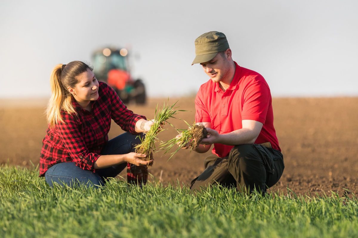 Sprijin AIPA pentru tinerii fermieri: Granturi de până la 3 milioane lei