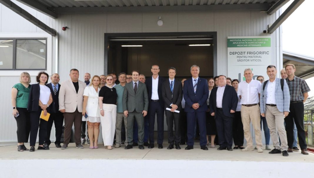 Investiții de 600.000 de euro prin Livada Moldovei pentru sectorul viticol