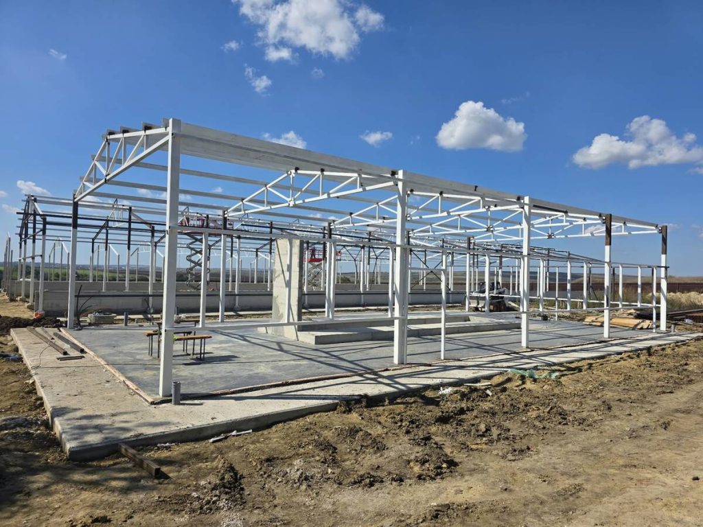 Investiție de 1,9 mil. $ într-o fermă modernă de oi la Bumbăta